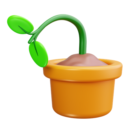 Plant  3D Icon