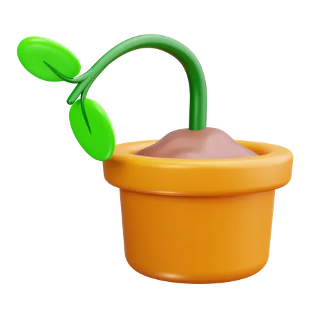 Plant  3D Icon