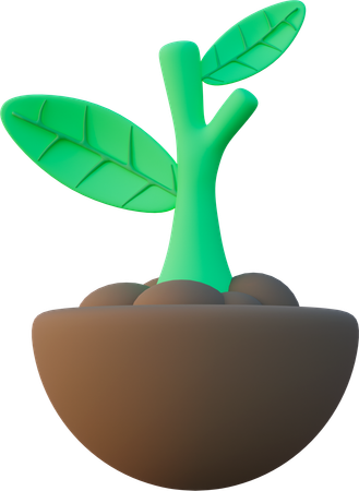 Plant  3D Icon