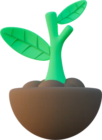 Plant  3D Icon