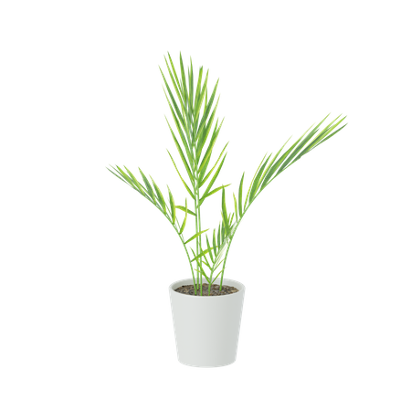 Plant  3D Icon