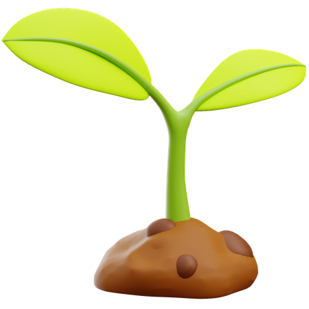 Plant  3D Icon