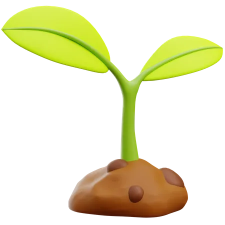 Plant  3D Icon