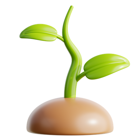 Plant  3D Icon