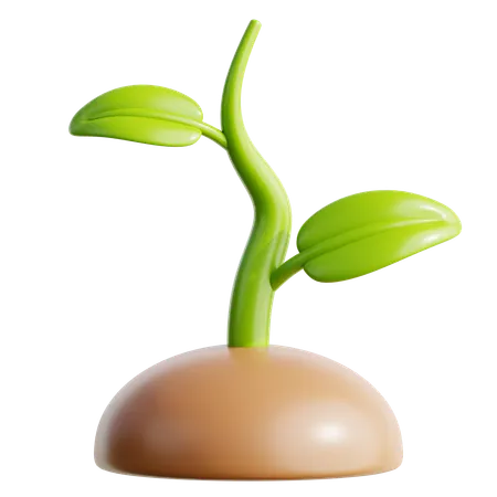 Plant  3D Icon