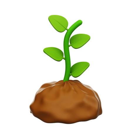 Plant  3D Icon