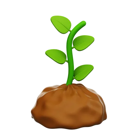 Plant  3D Icon