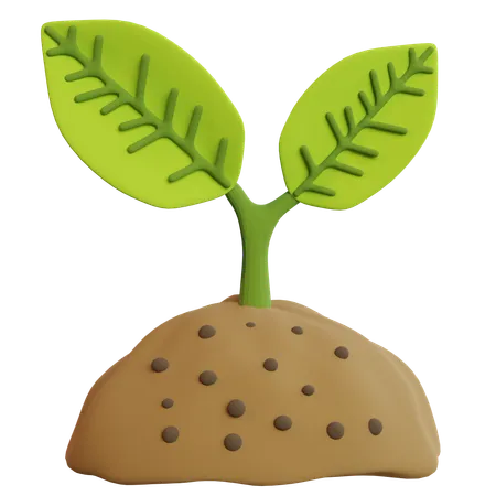 Plant  3D Icon