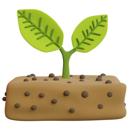 Plant  3D Icon