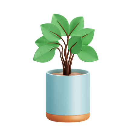 Plant  3D Icon