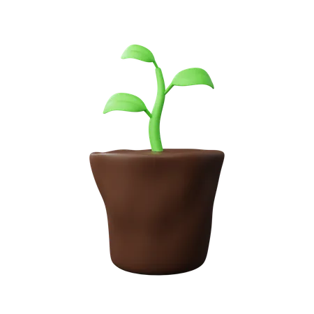 Plant  3D Icon