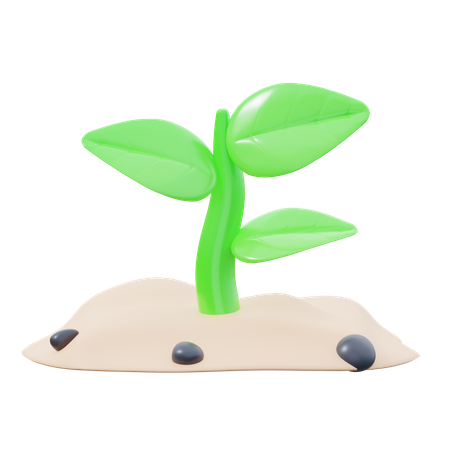 Plant  3D Icon