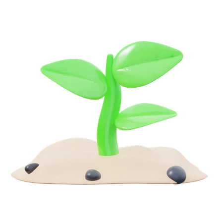 Plant  3D Icon