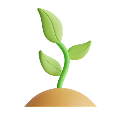 Plant  3D Icon