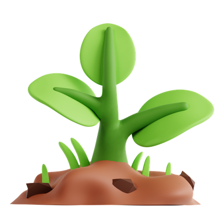 Plant  3D Icon