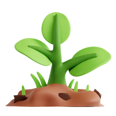 Plant  3D Icon