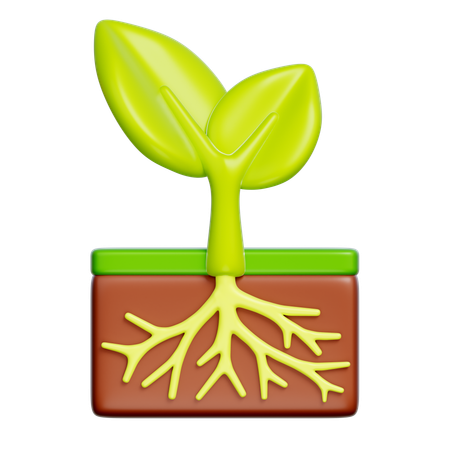 Plant  3D Icon