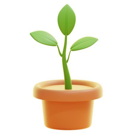 PLANT  3D Icon