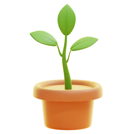 PLANT  3D Icon