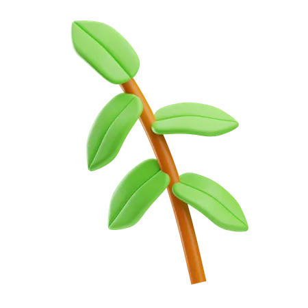 Plant  3D Icon