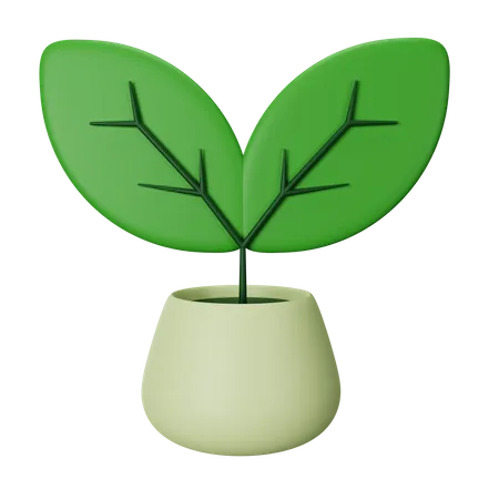 Plant  3D Icon