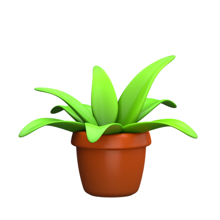 Plant  3D Icon