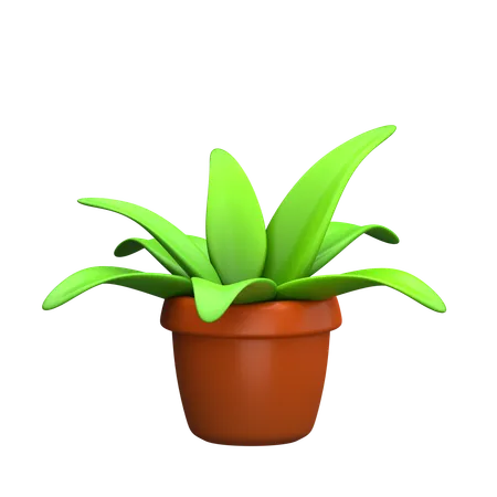 Plant  3D Icon