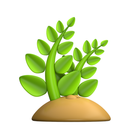 Plant  3D Icon