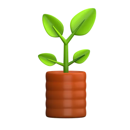 Plant  3D Icon