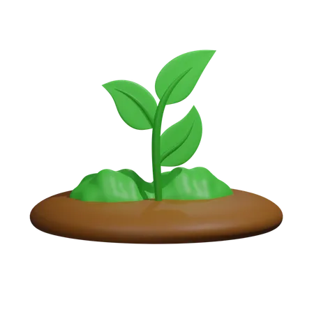 Plant  3D Icon