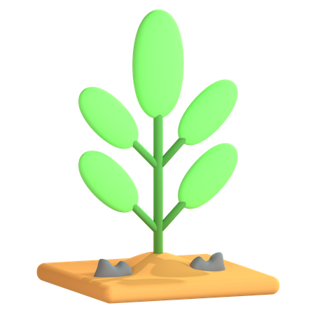 Plant  3D Icon