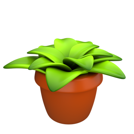 Plant  3D Icon