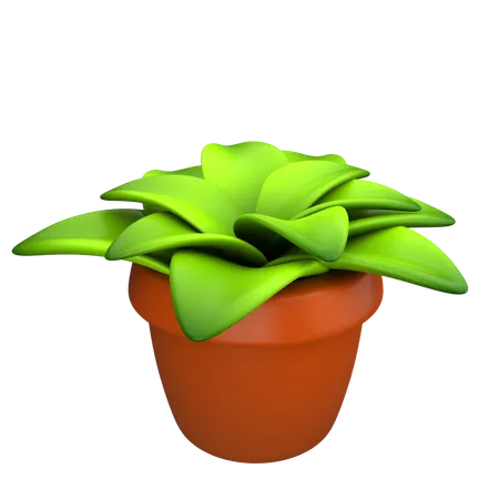 Plant  3D Icon