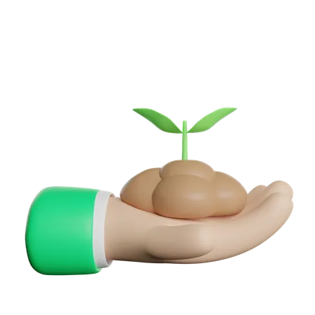 Plant  3D Icon