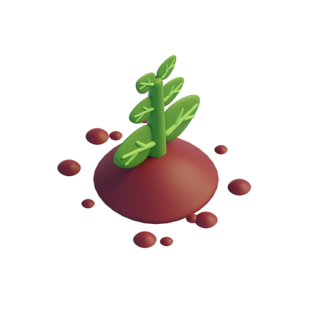 Plant  3D Icon