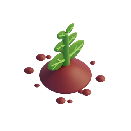 Plant  3D Icon