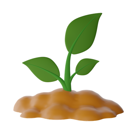 Plant  3D Icon