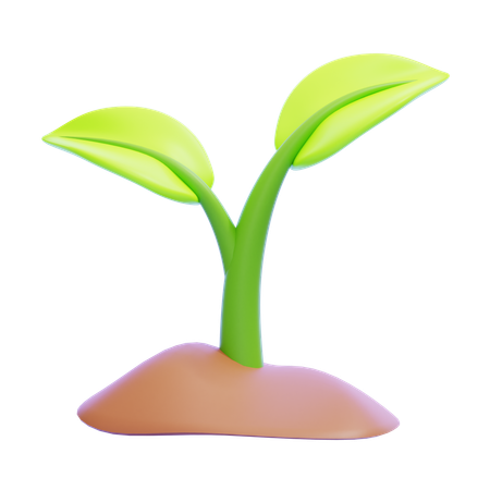 Plant  3D Icon