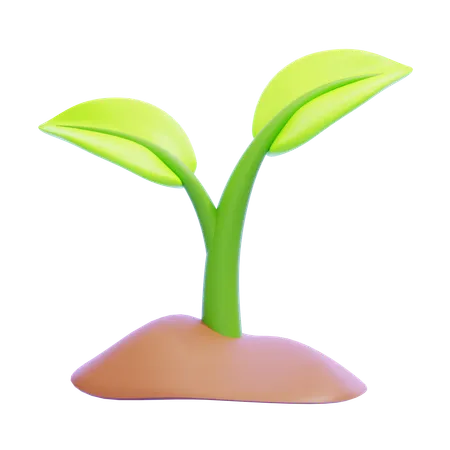 Plant  3D Icon