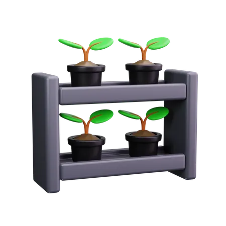 Plant  3D Icon