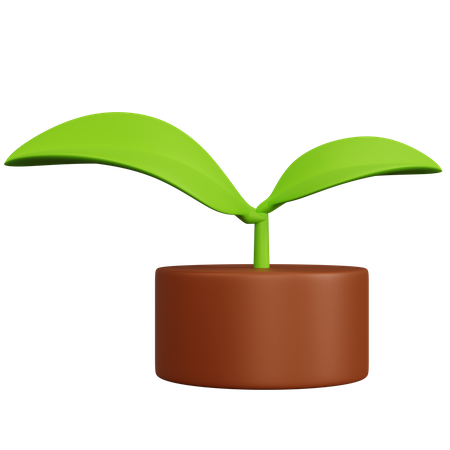 Plant  3D Icon