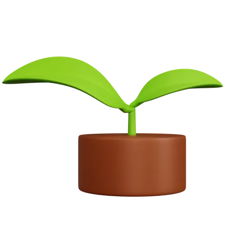 Plant  3D Icon