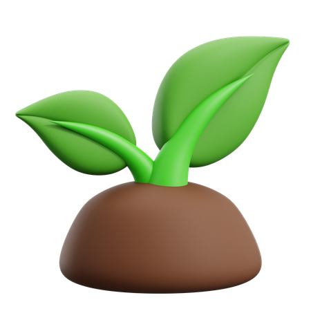 Plant  3D Icon