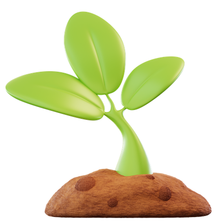 Plant  3D Icon