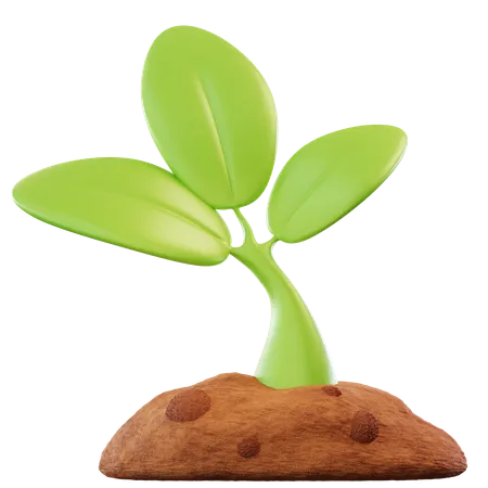 Plant  3D Icon