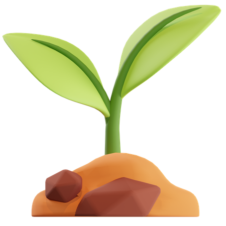 Plant  3D Icon