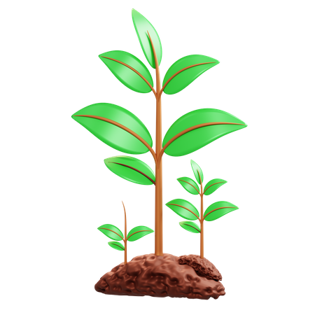 Plant  3D Icon