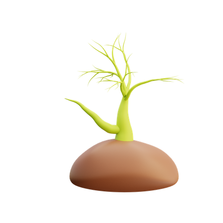 Plant  3D Icon