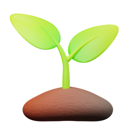 Plant  3D Icon
