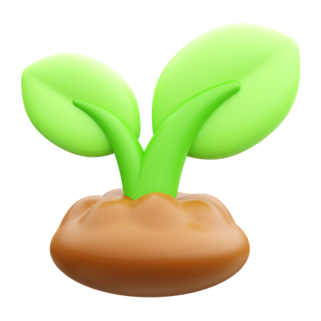 Plant  3D Icon